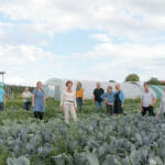 Team of harvesters on a farm (SoLaWi)